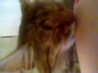 Bestiality XXX - Cute kitty sucks milk from its mistress' large wobblers